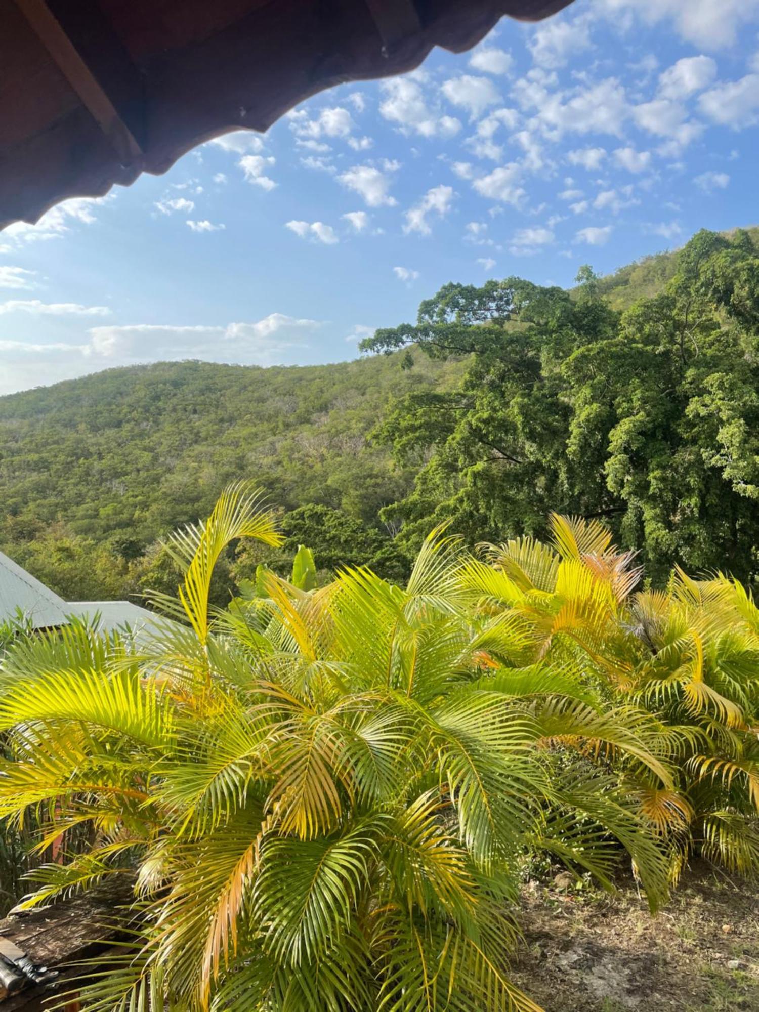 L'Escapade Naturelle Pointe-Noire Ngoại thất bức ảnh