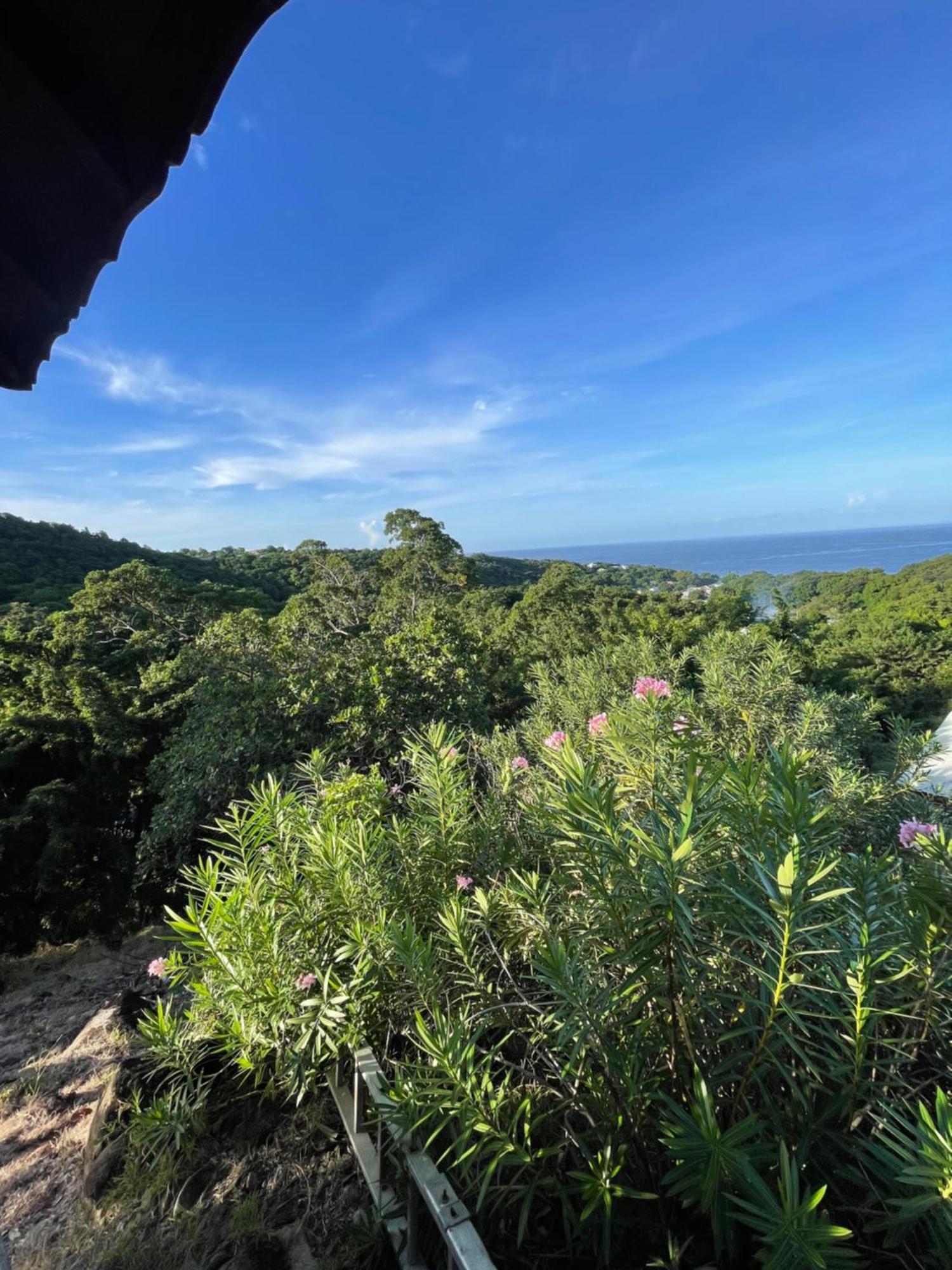 L'Escapade Naturelle Pointe-Noire Ngoại thất bức ảnh